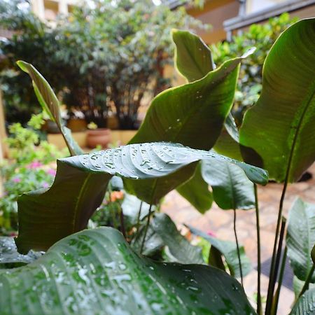 Hotel Lilian Puerto Iguazu Ngoại thất bức ảnh