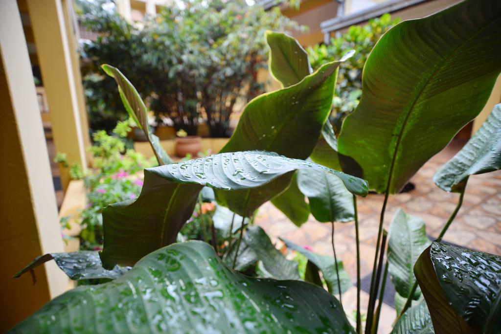 Hotel Lilian Puerto Iguazu Ngoại thất bức ảnh